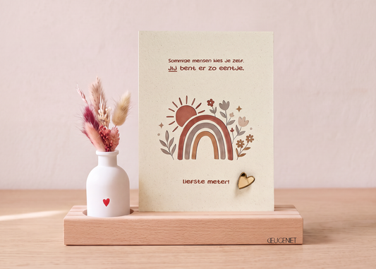 Cadeau voor je meter met droogbloemen – Regenboog
