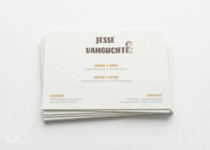 Geboortekaartje "Pinguïn" - Deugeniet - Geboortekaartjes