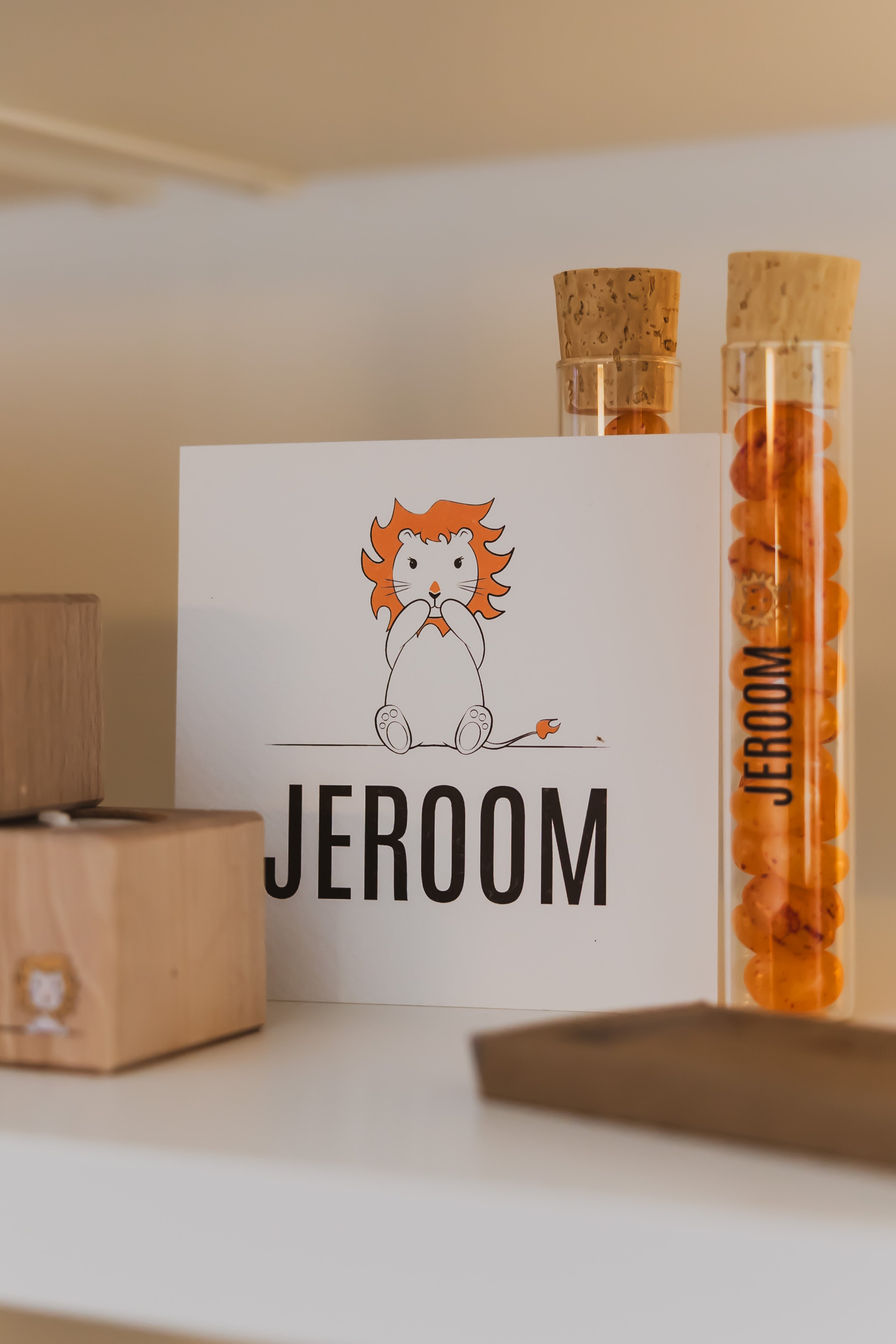 geboortekaartje leeuw