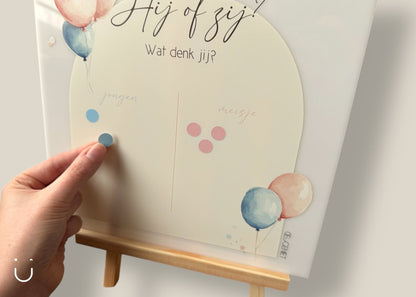 Hij of zij? spel gender reveal - Deugeniet - Gender reveal